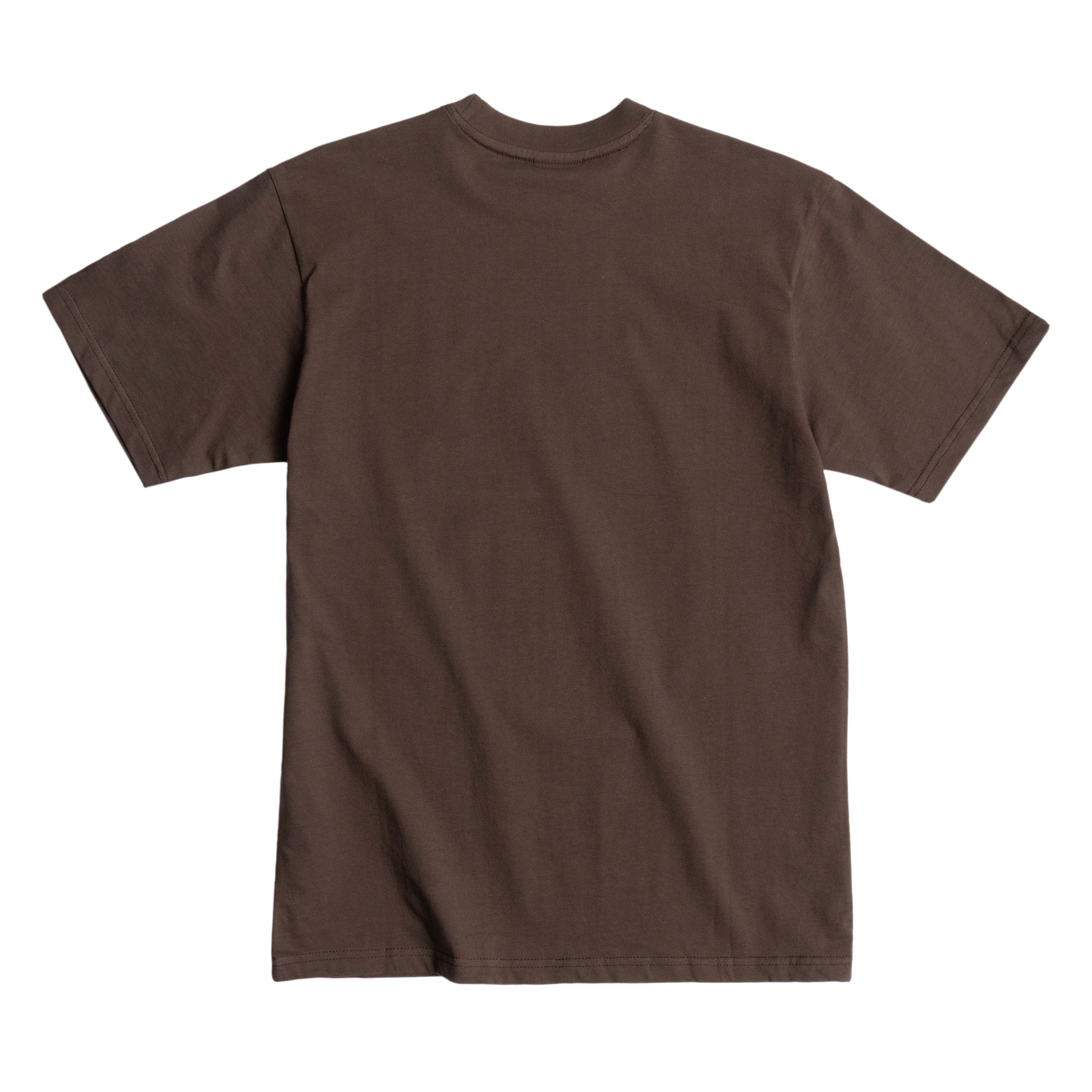 FEED STORE TEE - BROWN