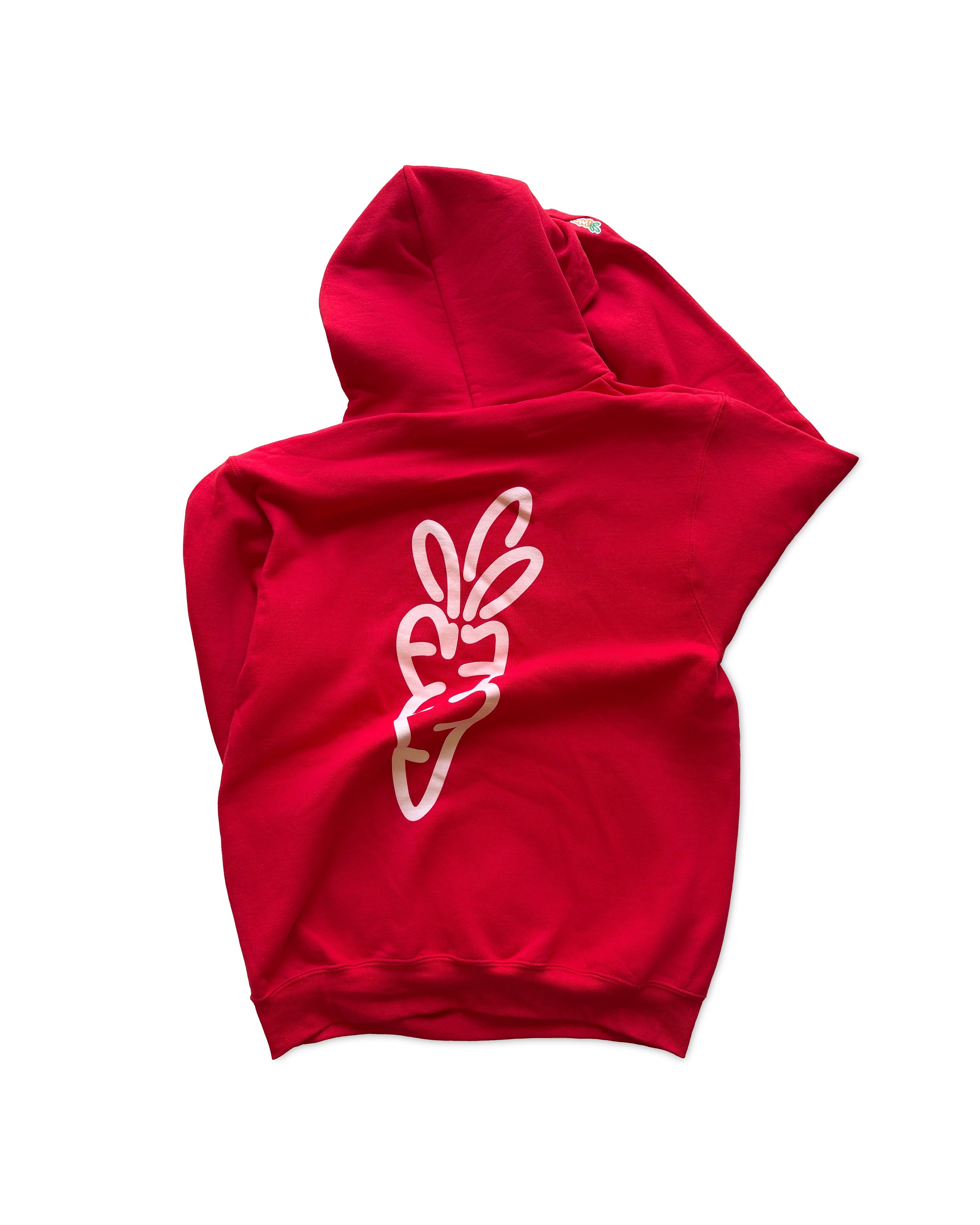 Wordmark Champion Hoodie - Red